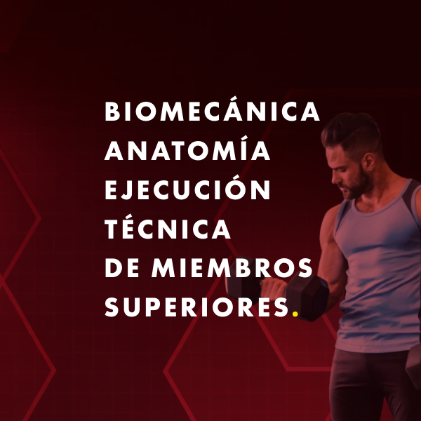 Biomecánica, anatomía y ejecución técnica de miembros superiores